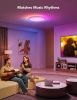 Smart Ceiling Light RGBIC LED Ceiling Light Fixture